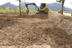 Hai Phong fills excavation holes to preserve ancient stakes