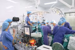 Record number of organ transplants performed