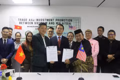 Vietnamese, Malaysian enterprises boost cooperation