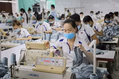 Private firms to be highlight of economy in long term: forum
