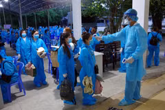Over 240 Vietnamese citizens repatriated from Philippines