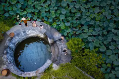 Ninh Binh to continue as host of National Tourism Year in 2021
