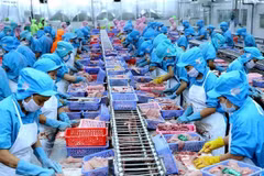 Agreements give new boost to Vietnam-EU partnership: Vice Foreign Affairs Spokesman