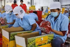 Agricultural imports, exports fall due to COVID-19