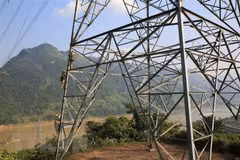 More than 330 households get electricity in Son La