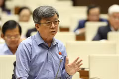 Legislator puts forth solutions to socio-economic development issues