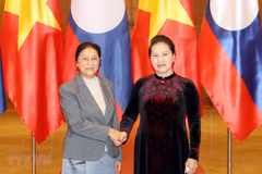 Parliamentary cooperation promotes Vietnam - Laos friendship: Top legislator