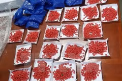 Son La police detain major drug smuggler