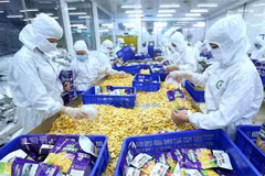 Vietnam’s trade with China hits 8.29 billion USD in January