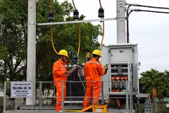 Innovation a must for SOEs: experts