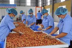 State needs to help cut logistics cost for farm produce