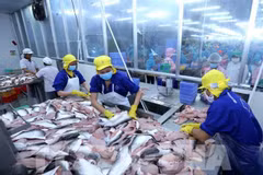 Seafood sector urged to diversify products