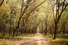 Southern provinces strengthen fire prevention measures during dry season