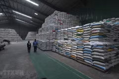National food reserves always sufficient for emergencies: authority
