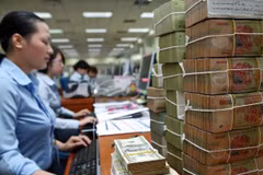 After-tax profits of HNX-listed firms down 10.3 percent in Q1