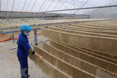 Vietnam adds 3,200 new OCOP products this year