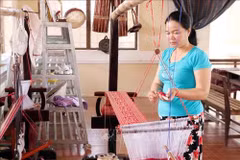 Ninh Thuan provides vocational training for rural workers 