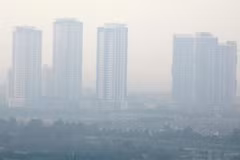 Carbon pricing helps improve Vietnam’s image internationally: Foreign media