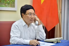 Vietnam, Ireland beef up bilateral cooperation 