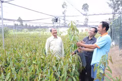 Country’s largest seedling producer focuses on quality