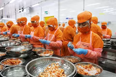 Trade surplus amounts to 10 billion USD by mid-August