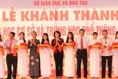 Vice President attends school inauguration ceremony in Vinh Long 