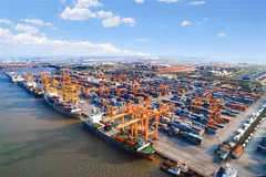 Cutting costs crucial to survival of maritime transport 