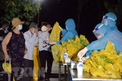 Over 340 Vietnamese citizens brought home from Australia, New Zealand, Tonga