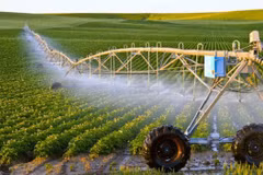 Digitisation helps narrow urban-rural gap: experts