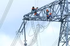 Thai firms to invest in thermal power plant in Quang Tri