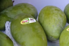 Son La province expands organic farming