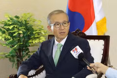 Vietnam has turned a crisis into an opportunity for success: Diplomat