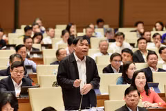 Forest protection on agenda at National Assembly's sitting