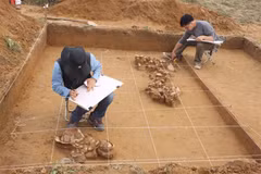 Bai Coi, a meeting place of civilisations in Ha Tinh province