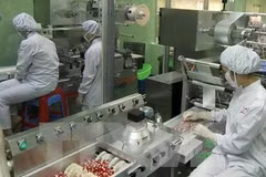 Vietnam, India eyes stronger cooperation in pharmaceuticals