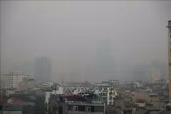 Experts discuss ways to ease air pollution in Hanoi