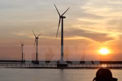 Massive investment in wind power plants could overload grid: experts