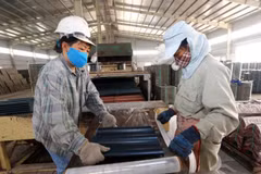 More actions needed to improve FDI efficiency in Nghe An