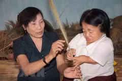 Vietnam attends UN social development commission session