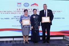 Russian officials in HCM City honoured with insignias