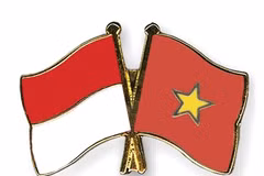 Vietnam-Indonesia hold workshop to encourage economic cooperation amid COVID-19