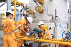 PV GAS continues to be among top 50 listed companies 2019 