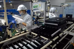 Political commitment key to Vietnam’s FDI attraction achievement: expert