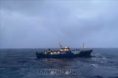 Disabled Russian cargo vessel towed ashore by Vietnamese navy