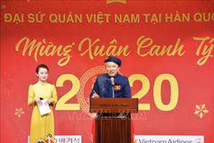 Vietnamese abroad celebrate traditional New Year 