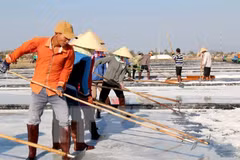 Salt industry development plan for 2021-2030 approved