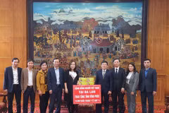 OVs in Poland present face masks to Vinh Phuc province