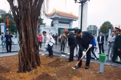 Hanoi to plant about 120,000 new trees this spring