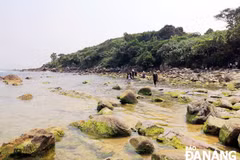 Da Nang: over 1.98 million USD for developing community tourism 