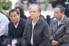 Former Da Nang leaders jailed for land management violations 